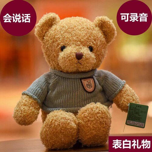 可录音说话毛绒玩具p棉女友礼物