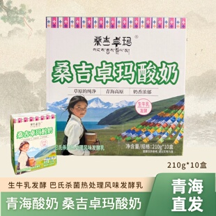 青海酸奶桑吉卓玛酸奶巴氏杀菌热处理风味发酵乳生牛乳发酵整箱