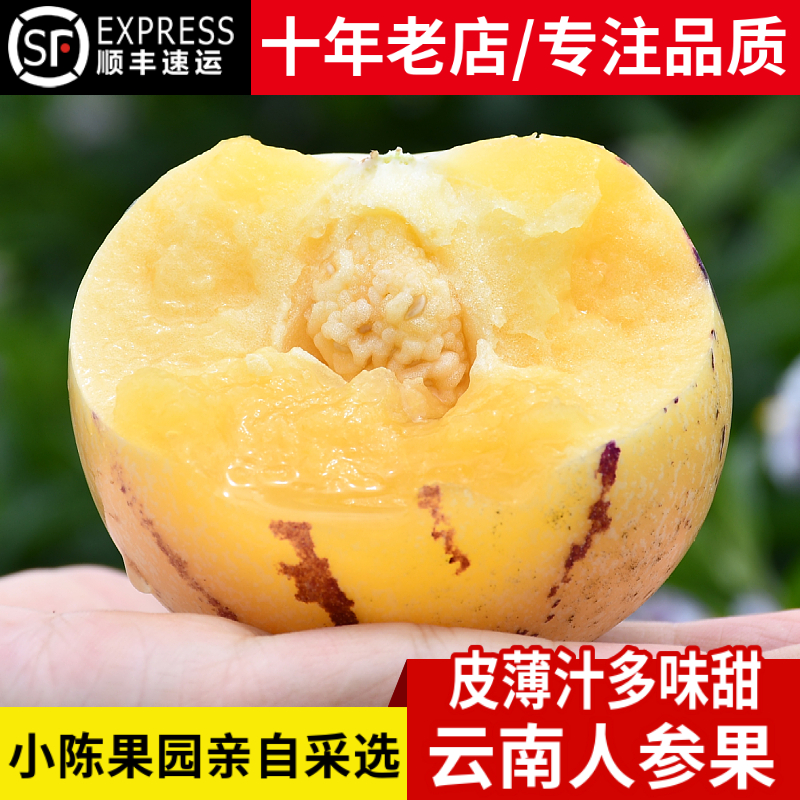 顺丰精选|树上熟黄果|不好吃包退