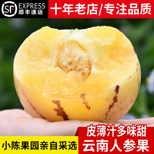 顺丰精选|树上熟山地人参果|鲜甜