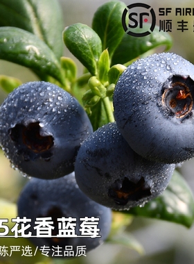 【顺丰航空】云南L25花香蓝莓当季现摘孕妇宝宝辅食露天新鲜水果