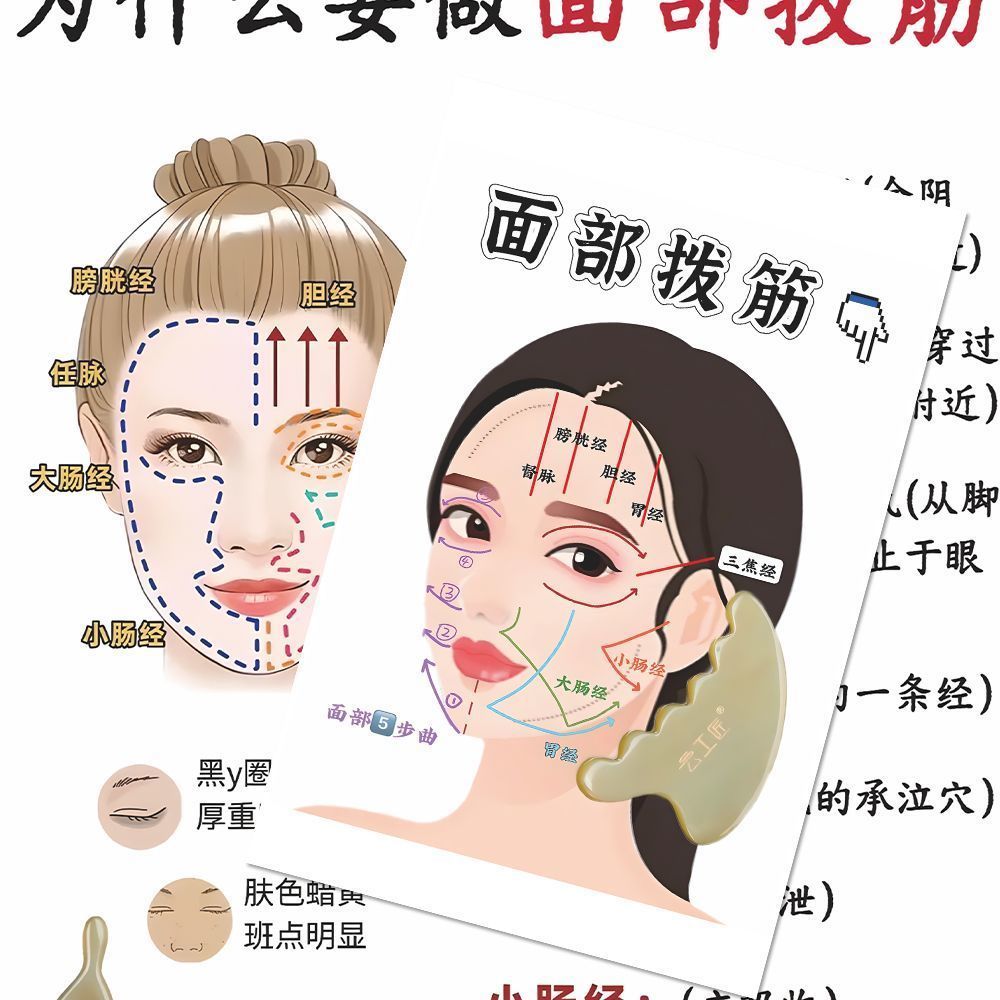 高清大张】20张面部拨筋中医理疗科普贴纸脸部刮痧视图小众通用