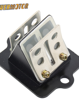 摩托车气门阀簧片阀改装配件适用于GILERA Stalker 50 Typhoon 50