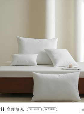 LANSIU/蓝丝羽床头靠垫靠枕芯沙发靠垫芯6080高回弹白色枕芯