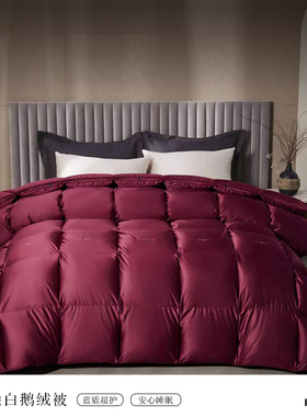 LANSIU/蓝丝羽95白鹅绒羽绒保暖大朵绒静音防滑婚庆冬被春秋被