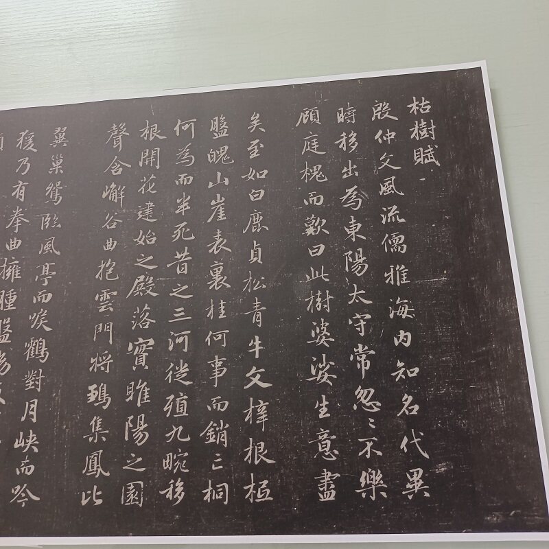 赵孟頫 枯树赋 书法字画碑帖真迹高清微喷仿古画芯装裱手卷装饰画