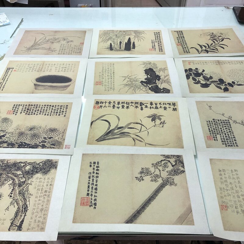 金农花卉图册特价优惠