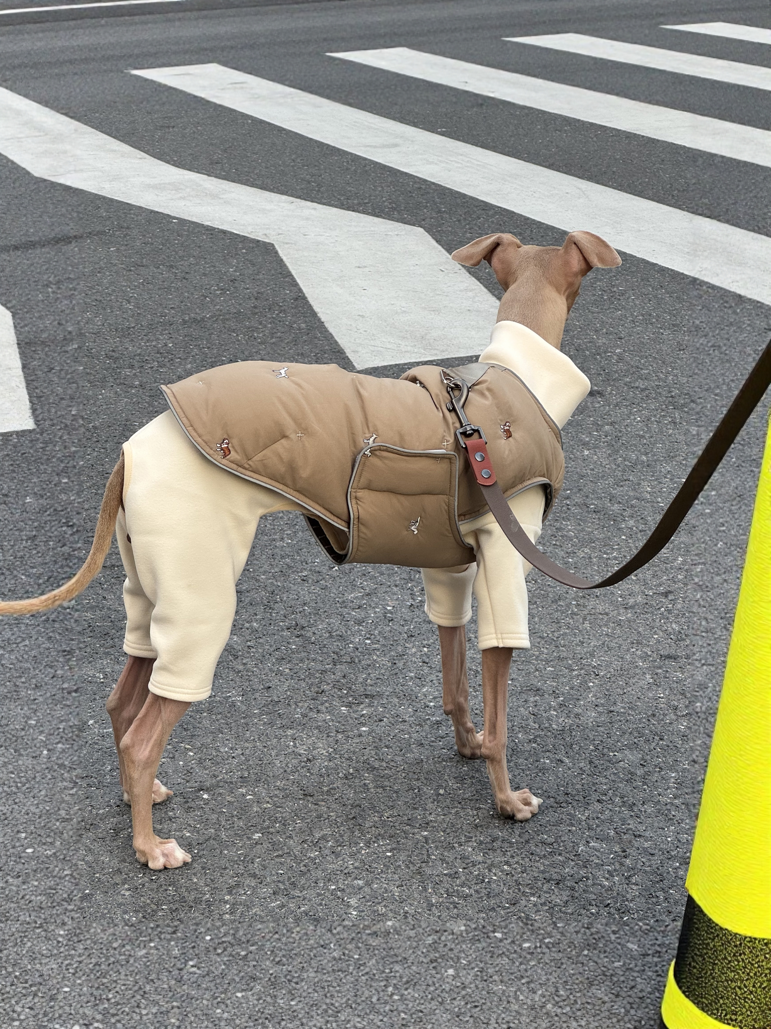 【绣绣撒欢小狗】一穿就走牵引扣加厚保暖秋冬90绒羽绒服背心围巾