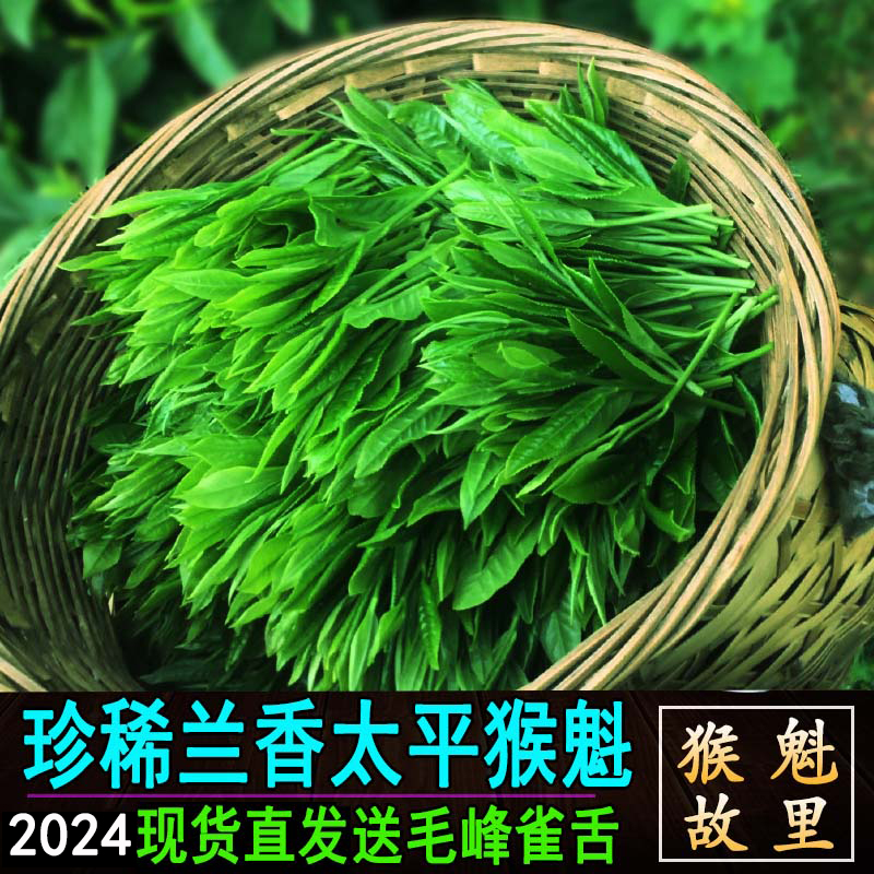 特级太平猴魁兰花香手工