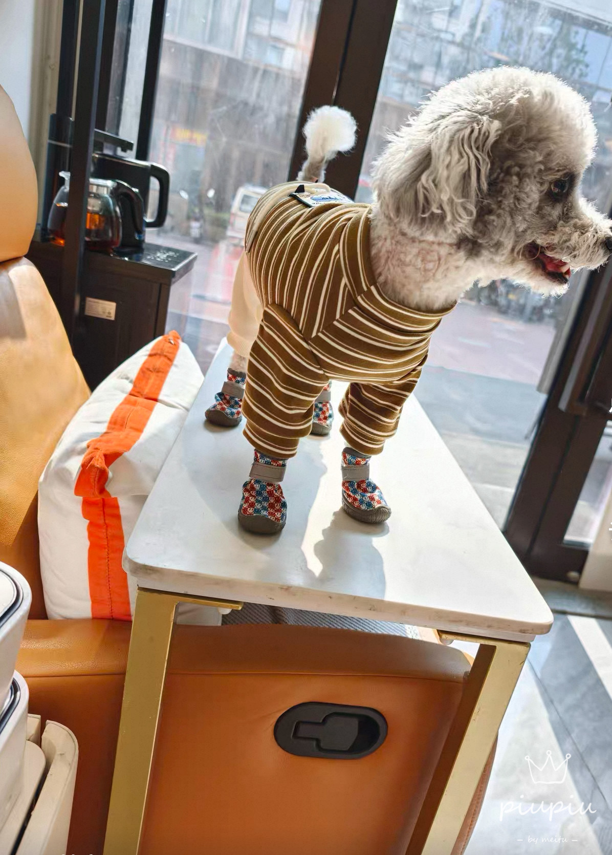 NINI家宠物狗狗衣服秋冬款加绒保暖四脚衣泰迪比熊博美小型犬