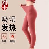 保暖裤 打底线裤 加绒加厚女内穿棉毛裤 贴身内穿发热能单件秋裤