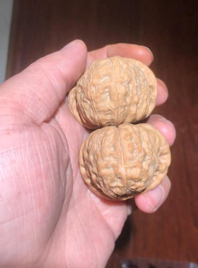 47mm大南瓜墩狮子头文玩把件麻核桃精选老树平底大肚压手43mm45mm
