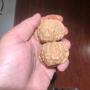 47mm大南瓜墩狮子头文玩把件麻核桃精选老树平底大肚压手43mm45mm