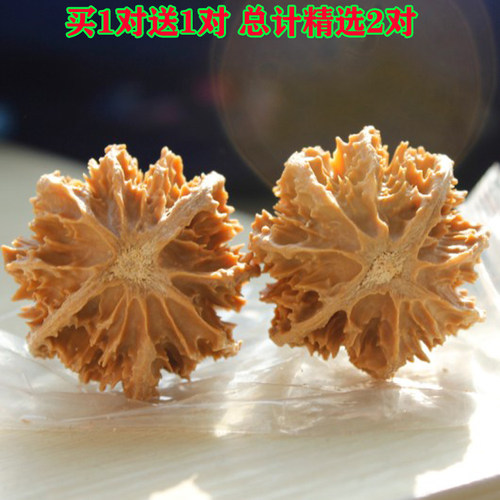 精选纯野生粗筋八棱灯笼老树核桃扎手文玩把件多刺深纹京八对圆润