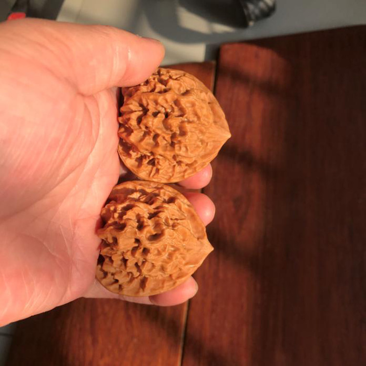 46mm野生秦帝王狮子头文玩把件麻核桃秦岭深纹自然保健送礼压手强