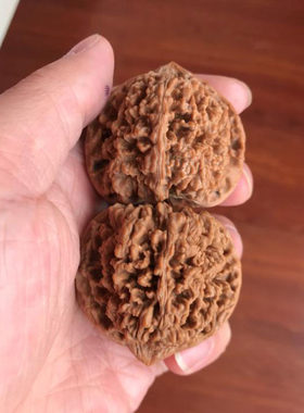 42mm百花山满天星狮子头文玩把件精选老树40保健野生矮桩自然45大