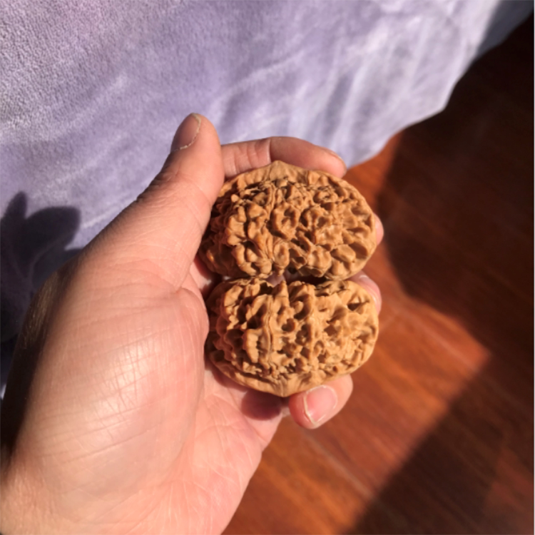 57mm新一物一图56mm经典压手款麒麟纹官帽文玩把件精老树55mm矮装
