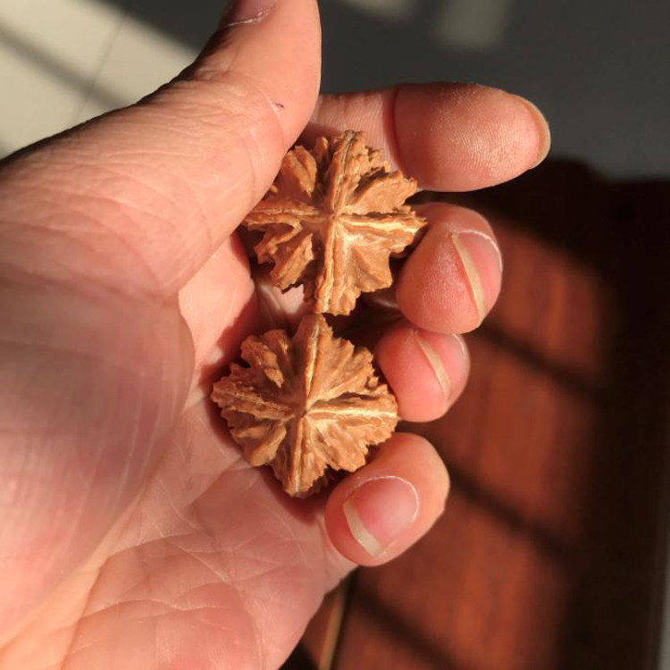 小手捻野生异型三四棱狮子头文玩把件精选老树型正山核桃正奔送礼