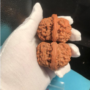 55mm超大肚麒麟纹王勇官帽麻核桃平底压手文玩把件精选56mm54粗筋