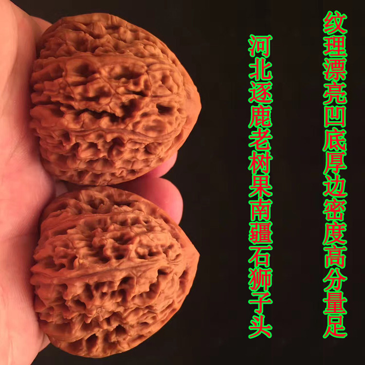 40mm炮弹桩逐鹿南疆石狮子头精选老树压手文玩把麻核桃小众全正品
