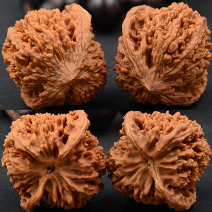 44mm百花山满天星狮子头麻核桃精选扎手矮桩文玩把玩核桃把件官帽