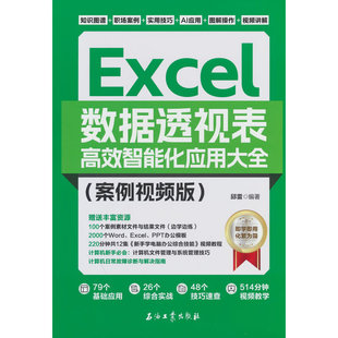 Excel数据透视表高效智能化应用大全 案例视频版