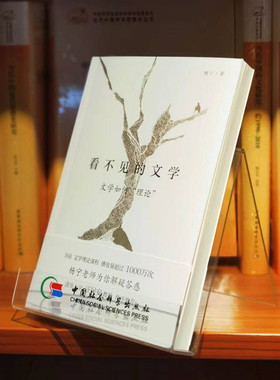 当当网 看不见的文学（签章版） 杨宁 哔哩哔哩（B站）知名up主。 B站文学理论课程视频播放量超过1000万次，课程话