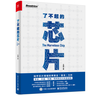 王健 芯片 电子工业出版 社 书籍 当当网 正版 了不起