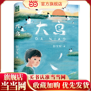 大鸟 男孩不哭组合 彭学军作品