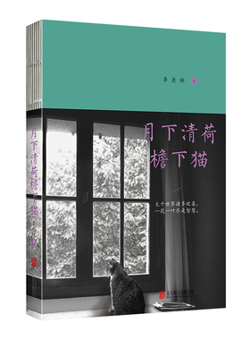 月下清荷檐下猫