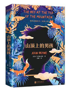 当当网 山顶上的男孩 我们终此一生都在寻找失去的那个自己 《穿条纹睡衣的男孩》作者又一震撼之作 外国文学小说正版畅销书