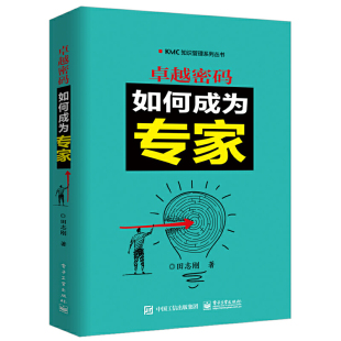 知识管理实施指南 高效工作 企业管理培训 当当网 电子工业出版 如何成为专家 提高工作效率 社 卓越密码