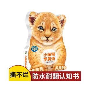 当当网正版童书 辞海版认知成长百科·萌宝认知启蒙系列·小萌狮学英语