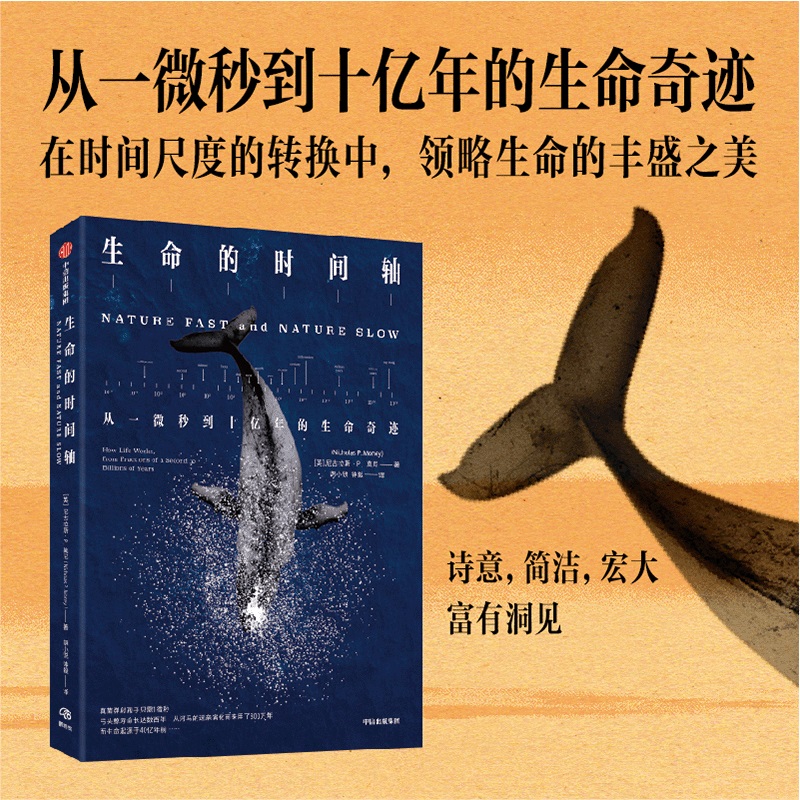 当当网中信出版生命的时间轴