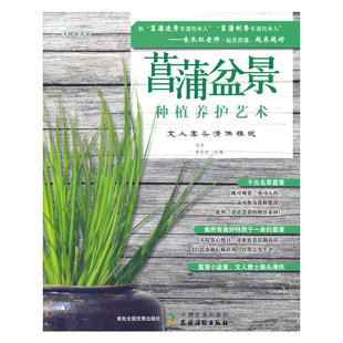 菖蒲盆景种植养护艺术：文人案头清供雅玩