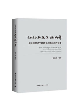 2020与黑天鹅共舞-（新分析范式下稳增长与防风险的平衡）