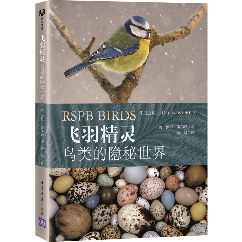 当当网 飞羽精灵:鸟类的隐秘世界 生物世界 清华大学出版社 正版书籍