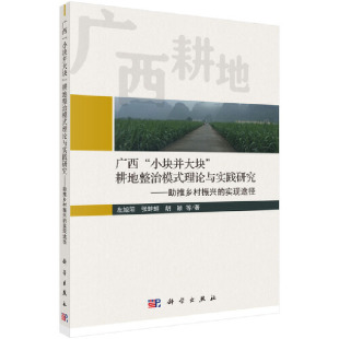 理论与实践研究：助推乡村振兴 耕地整治模式 实现途径 小块并大块 广西