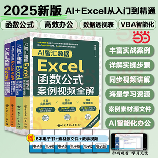 AI智汇数据：Excel函数公式 案例视频全解