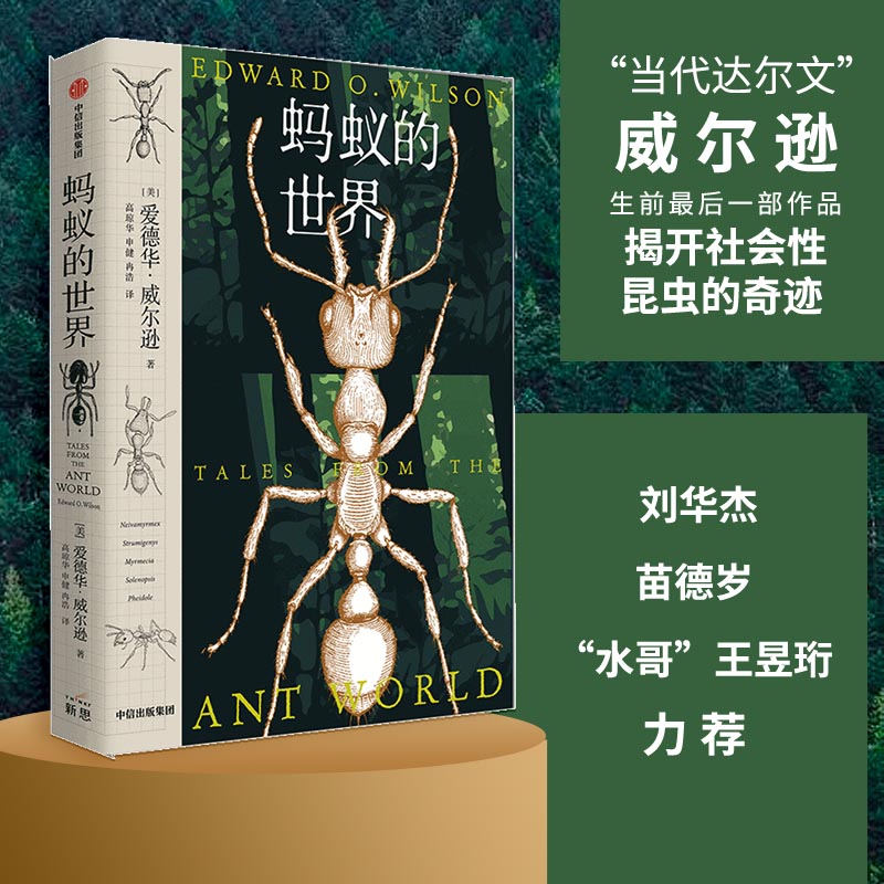 当当网 蚂蚁的世界（蚂蚁身上藏着进化的奥秘，是推动世界运行的小生物，更是研究社会性昆虫 生物世界 中信出版社  正版书籍
