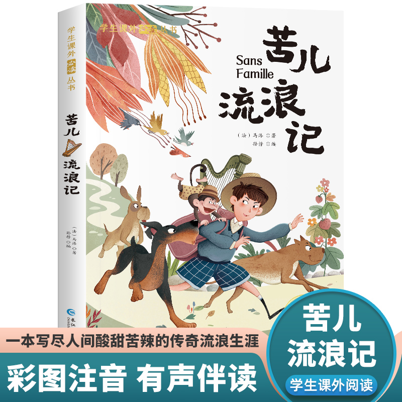 苦儿流浪记彩图注音版写尽人间酸甜苦辣的传奇流浪生涯外国经典儿童文学书籍小学生课外阅读丛书