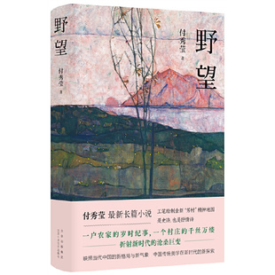曹文轩 刘庆邦诚挚推荐 千丝万缕 付秀莹最新 一个村庄 长篇小说 岁时纪事 野望 一户农家