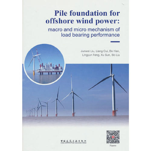当当网 Pile foundation for offshore wind power: macro and micro