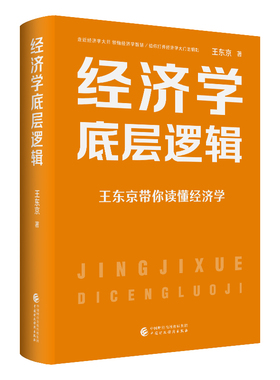 当当网 经济学底层逻辑 王东京 中国财政经济出版社 正版书籍