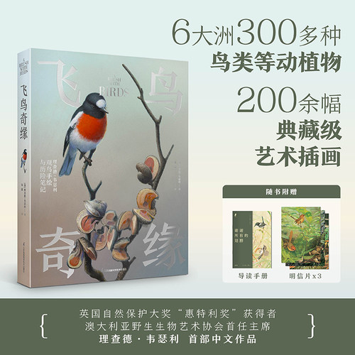 当当网 飞鸟奇缘   澳大利亚野生生物艺术协会首任主席理查德·韦瑟利中文作品，一场始于观鸟的自然奇旅！正版书籍