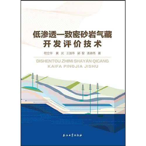 低渗透—致密砂岩气藏开发评价技术