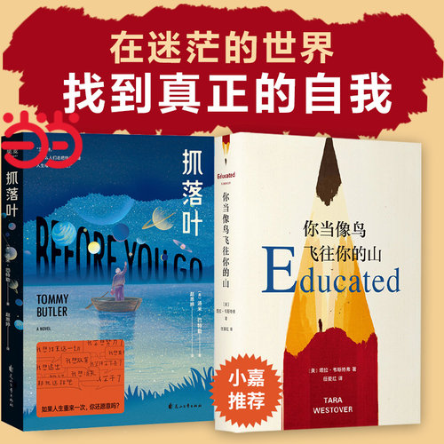当当网【2册】 你当像鸟飞往你的山+抓落叶 比尔盖茨年度特别推荐 登顶纽约时报畅销榜80周真实故事原生家庭教育女性励志外国小说