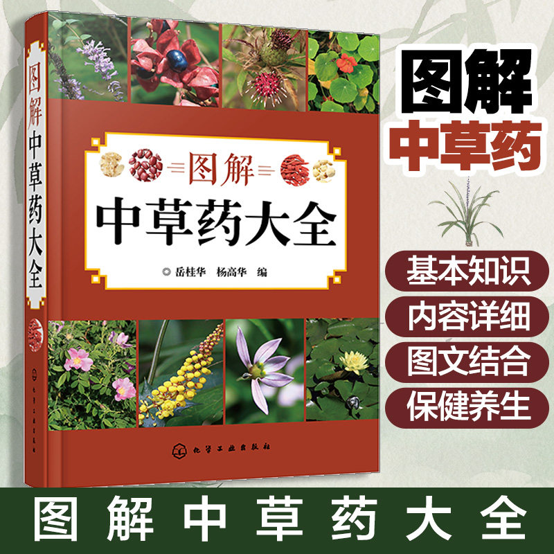 图解中草药大全 中医入门中草药大全书籍药材植物彩图中药大全 中医养生保健大全中草药识别百科全书 本草纲目中草药识别参考书籍,书籍/杂志/报纸,药学,淘宝优惠券,粉丝福利购,淘宝优惠卷