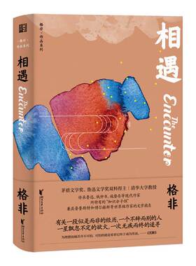 当当网 相遇（格非作品系列） 格非 浙江文艺出版社 正版书籍