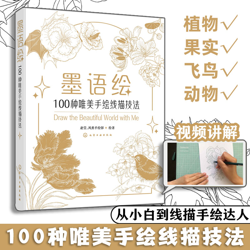 随书附赠视频讲解 墨语绘 100种唯美手绘线描技法 手绘线条构图技法造型结构 手绘步骤图解 花鸟植物手绘插画设计零基础教程入门书